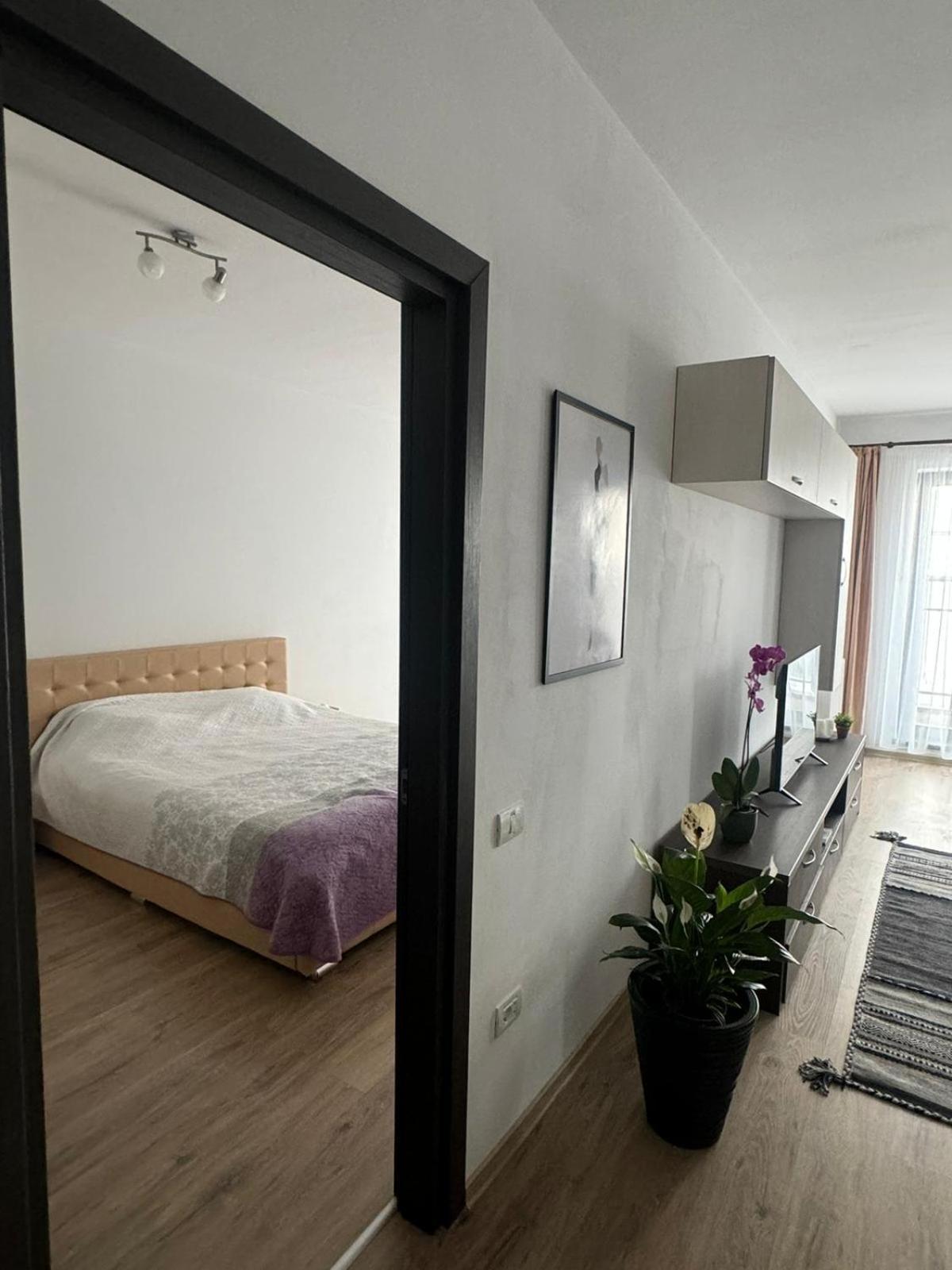 Apart Mihai Viteazu Residence Braşov Eksteriør bilde